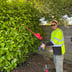 Navarrete Landscape Service Logo