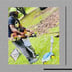 Twan And Sons Property Preservation Logo