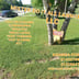 Mister Do It All Lawnservice Logo