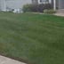 Everything lawncarez Logo